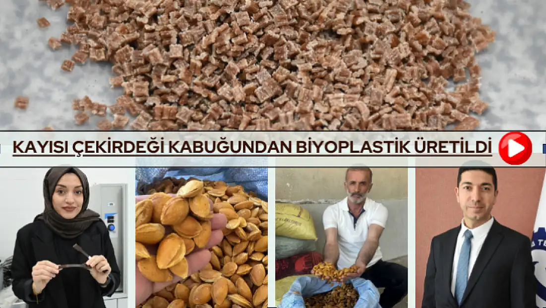 Kayısı çekirdeği kabuğundan biyoplastik üretildi