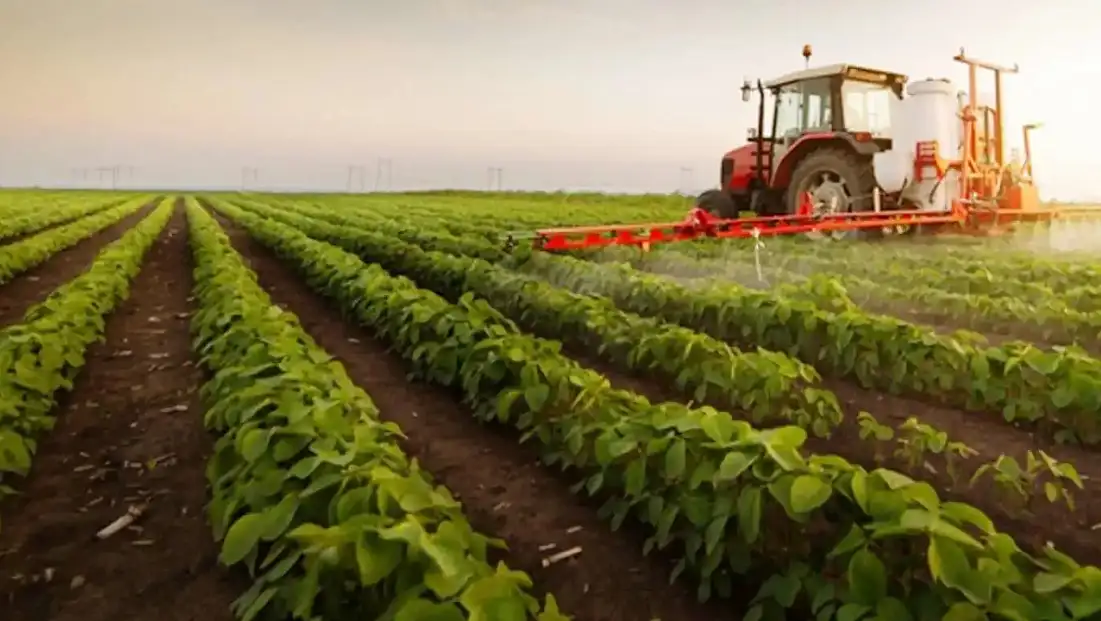 Maliyetler Çiftçiyi Zorluyor