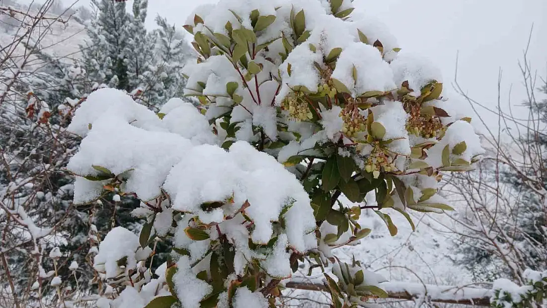 Pütürge'de kartpostallık görüntüler