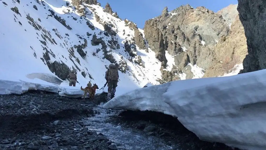 'Kapan-8 Ağrı Dağı-Çemçe-Madur Operasyonu' başlatıldı