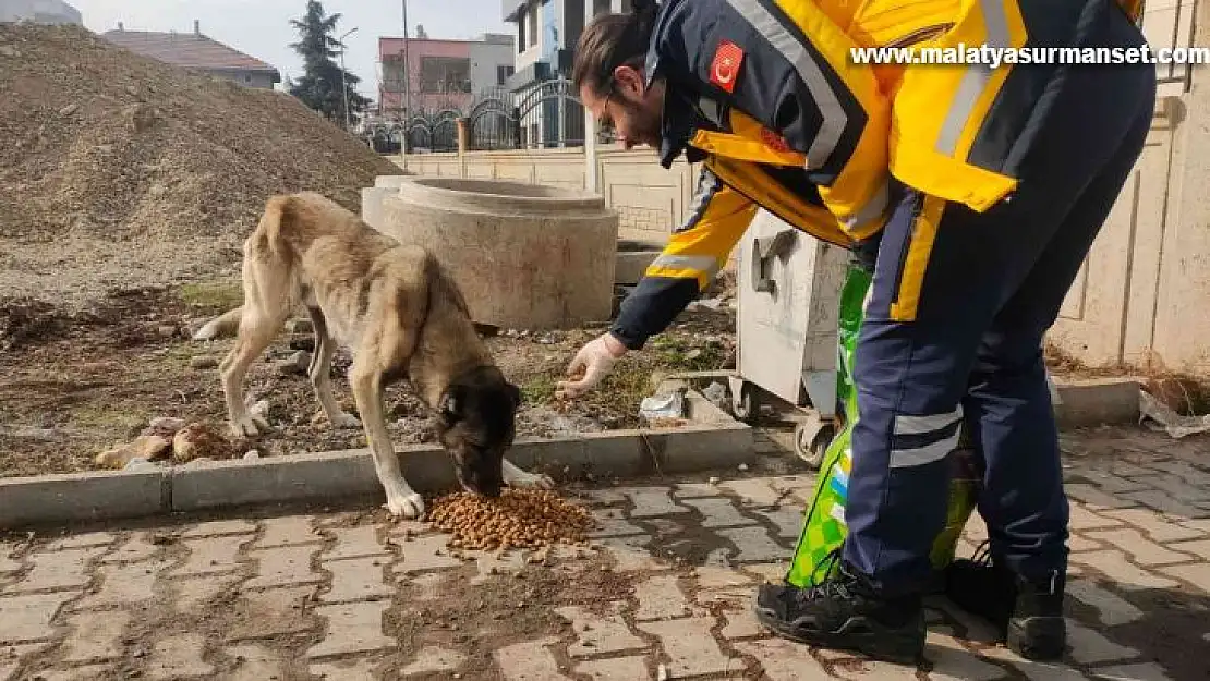 112 Personellerinden sokak hayvanlarına mama desteği