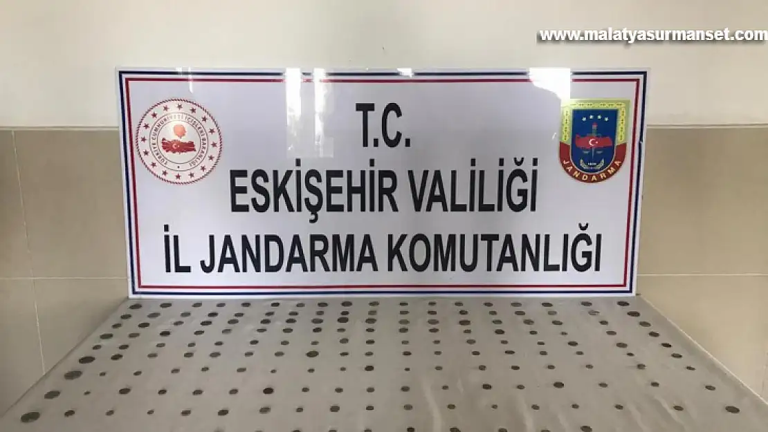 174 parça tarihi eseri satmak isterken jandarmaya yakalandı