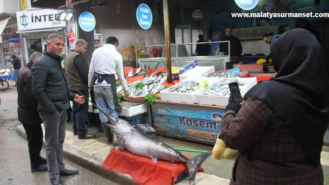 2 metrelik kılıç balığı ilgi odağı oldu