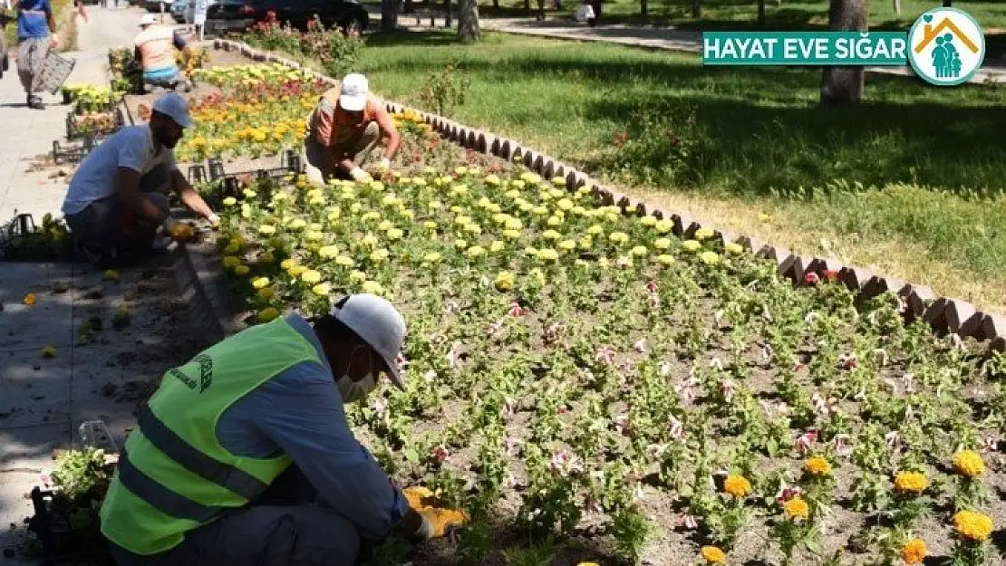 2 milyon 470 bin metrekare yeşil alana bakım