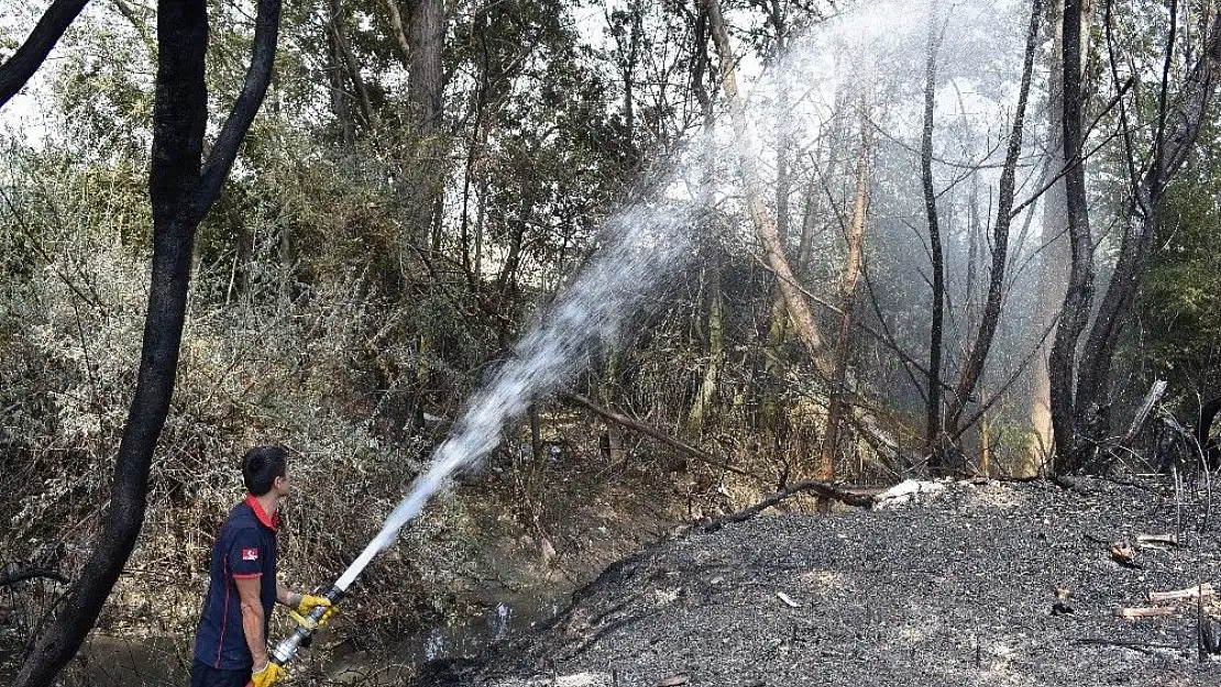 Odunlukta başlayan yangın 10 hektar alanı küle çevirdi
