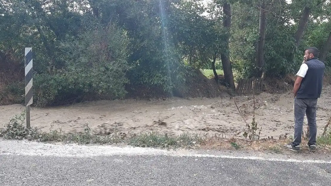 Nallıhan'da tarlaları ve yolları sel bastı
