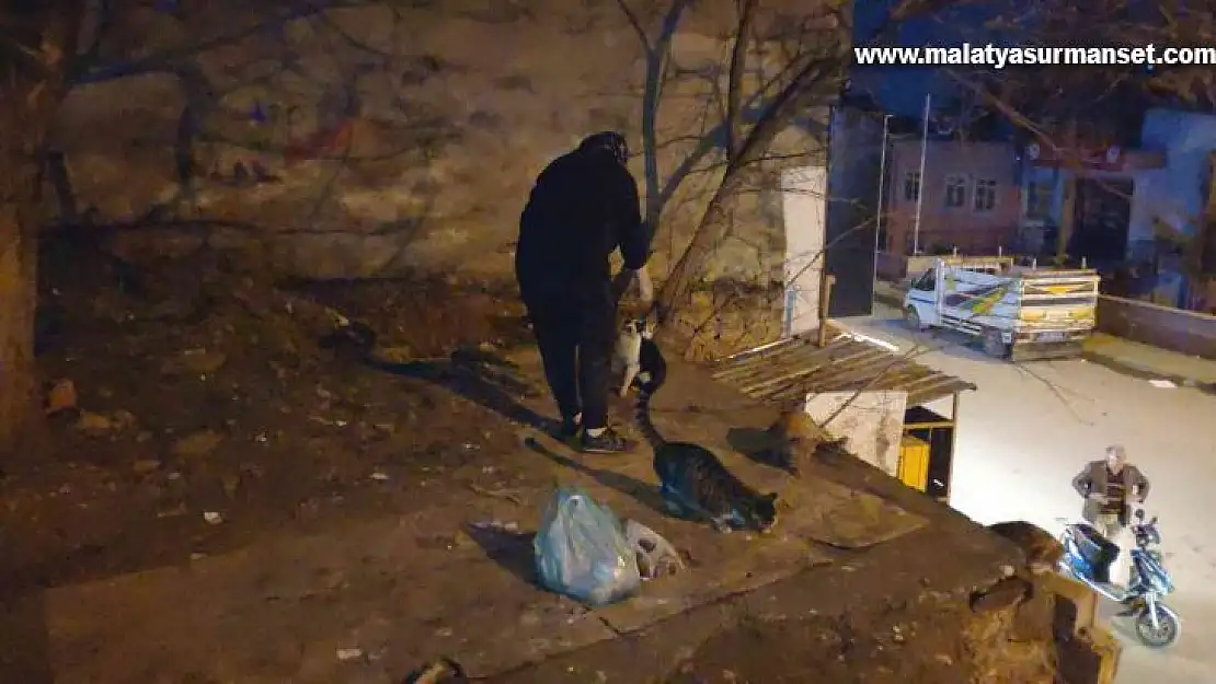 30 yıldır 40 kedi ve 10 köpeği besliyor