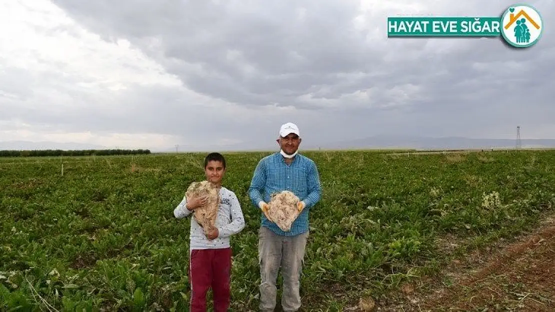 83 milyonluk ürün hasadı çiftçilerin yüzünü güldürdü