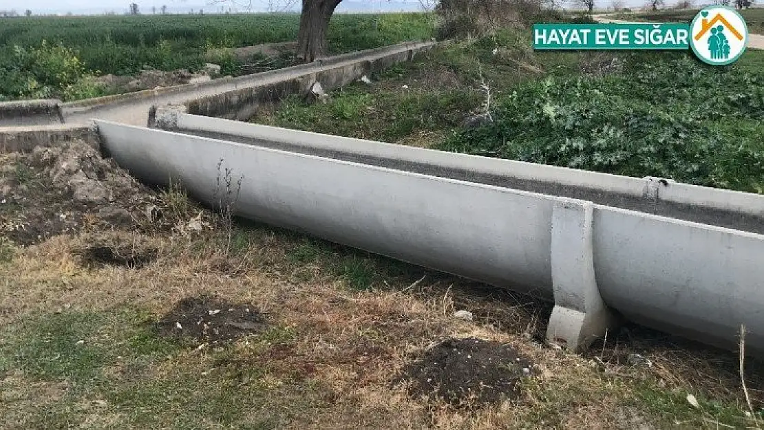 Adana'da 8 aylık hamile kadın kardeşi tarafından öldürüldü