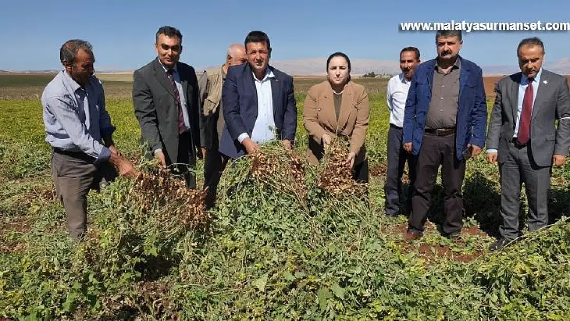 Adıyaman çiftçisi ilk kez yer fıstığını deniyor