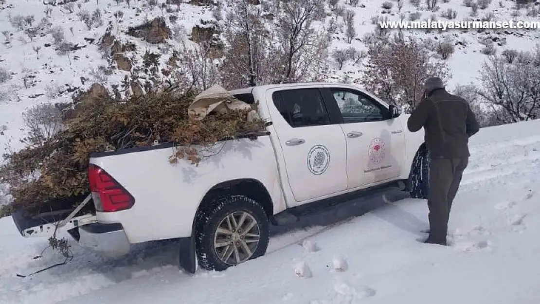 Adıyaman'da doğaya yem bırakıldı