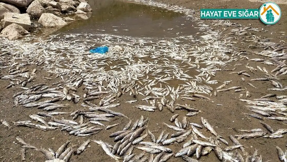 Adıyaman'da korkutan görüntü