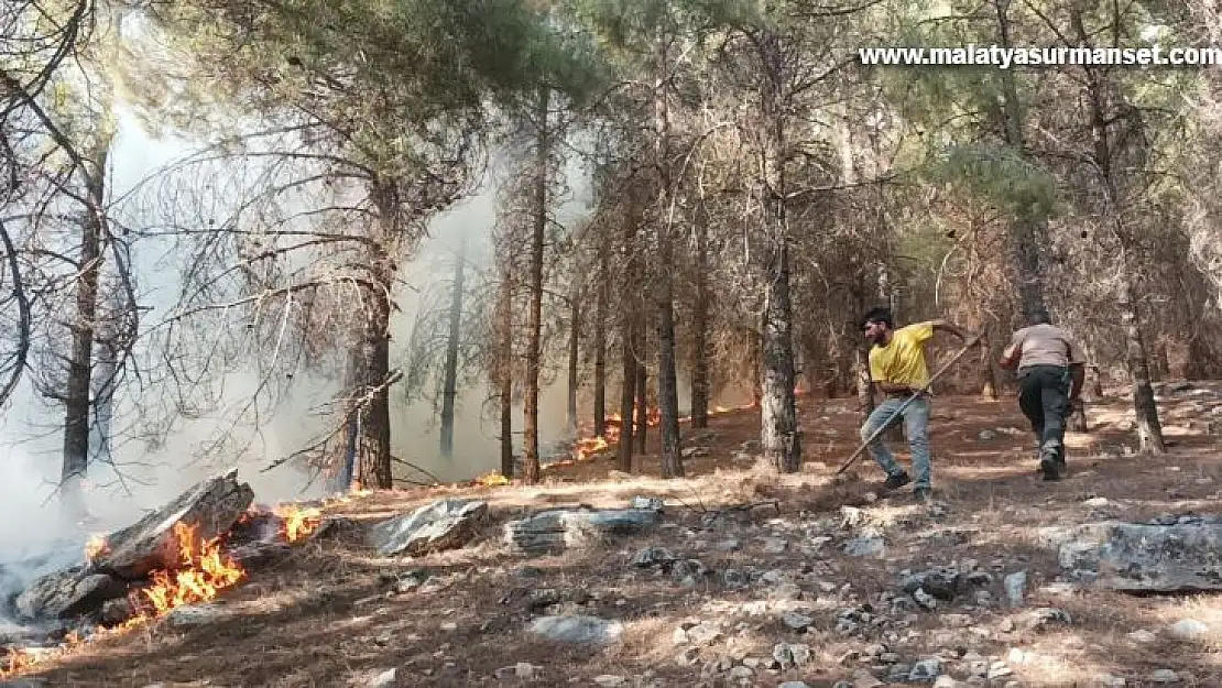 Adıyaman'da orman yangını başladı