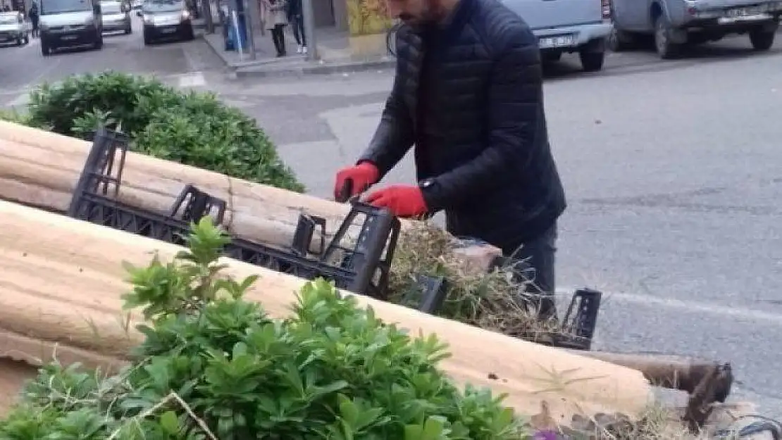 Adıyaman'ın her köşesi rengarenk oluyor