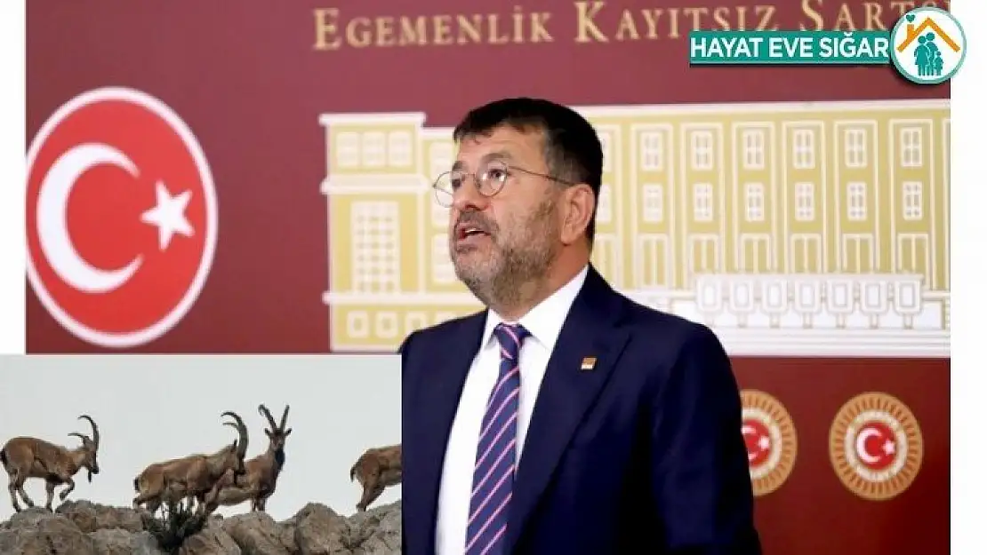 Ağbaba Bedelini Ödeyelim Yaban Keçisini Katletmeyin