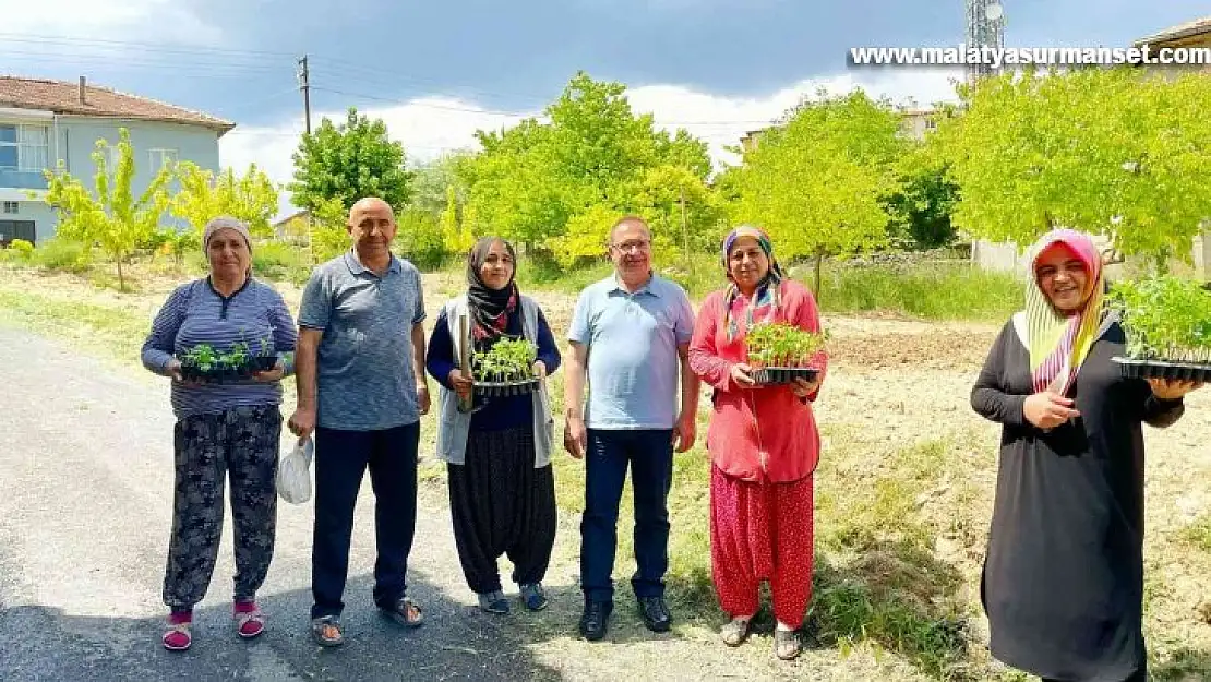 Akçadağ'da 100 bin sebze fidesi dağıtıldı