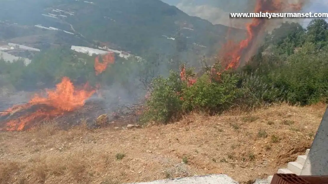 Alanya'da tarım arazisinde başlayan yangında 10 dönüm zarar gördü