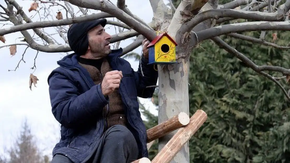 Altınköy'de kuşlar 'ev'lendi