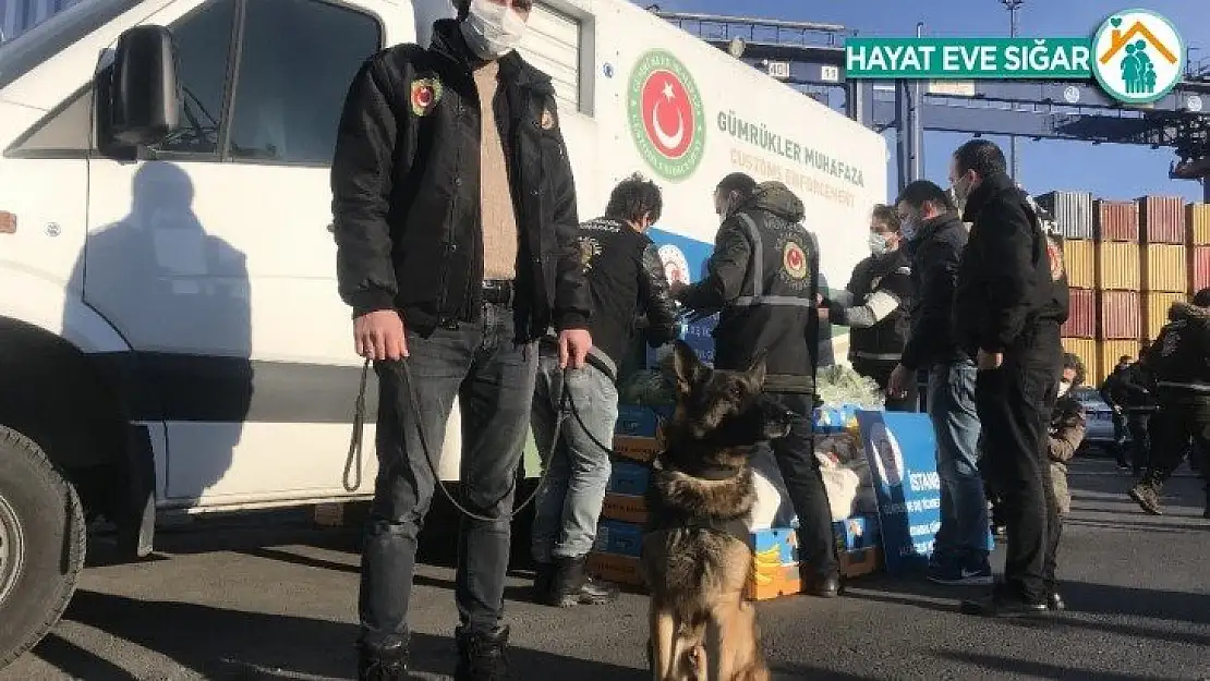 Ambarlı Limanı'nda muz konteynerinden uyuşturucu fışkırdı