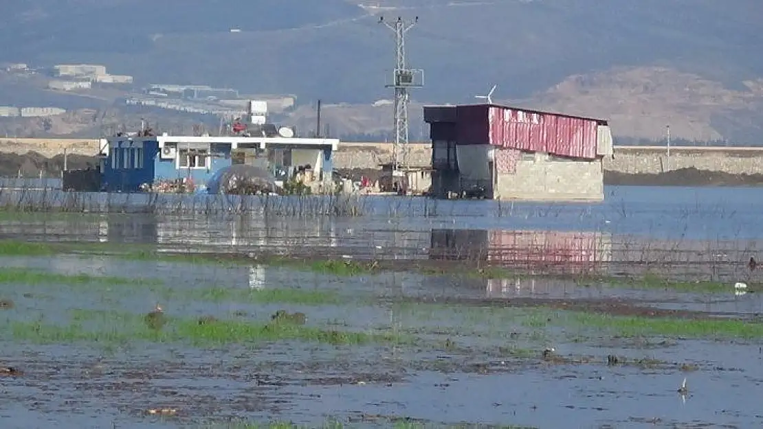 Amik Ovası'nda evler ve tarım arazileri sular altında kaldı