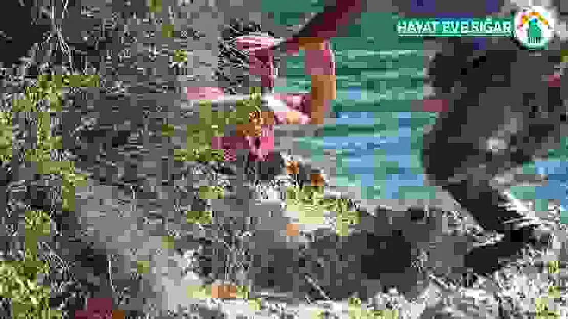 Antalya'da falezlerde hayatı pahasına hayat kurtaran müdahale