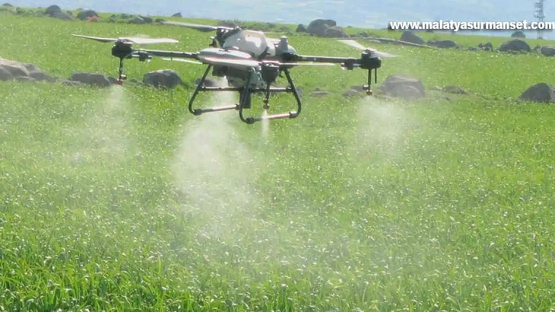 Araban'da sarımsak tarlaları dronla ilaçlandı