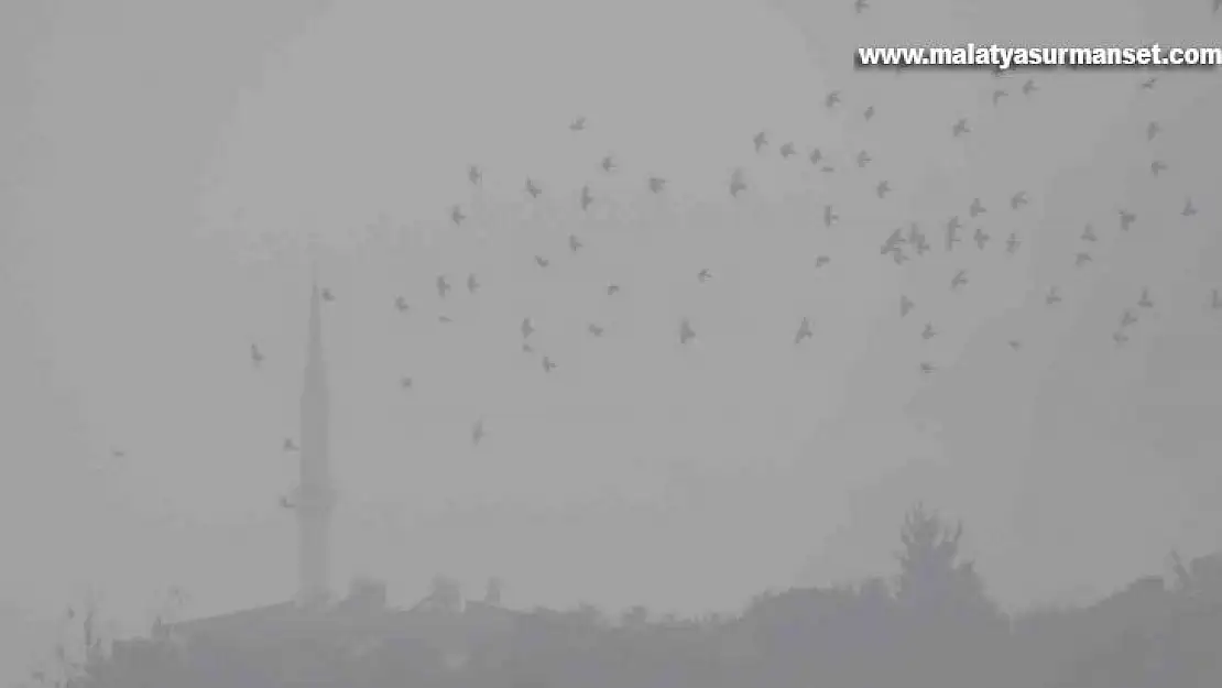 Araban'da sis hayatı olumsuz etkiledi