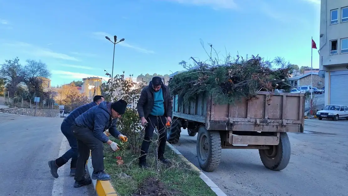 Arapgir Balediyesi Peyzaj ve Temizlik Çalışmaları Devam Ediyor