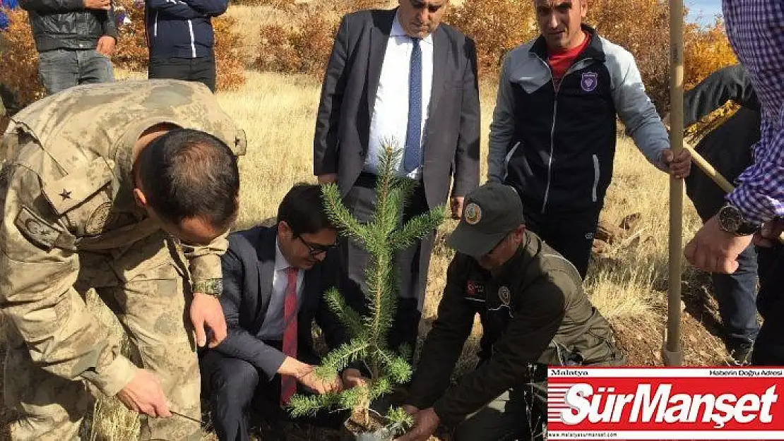 Arapgir'de fidanlarla toprakla buluştu