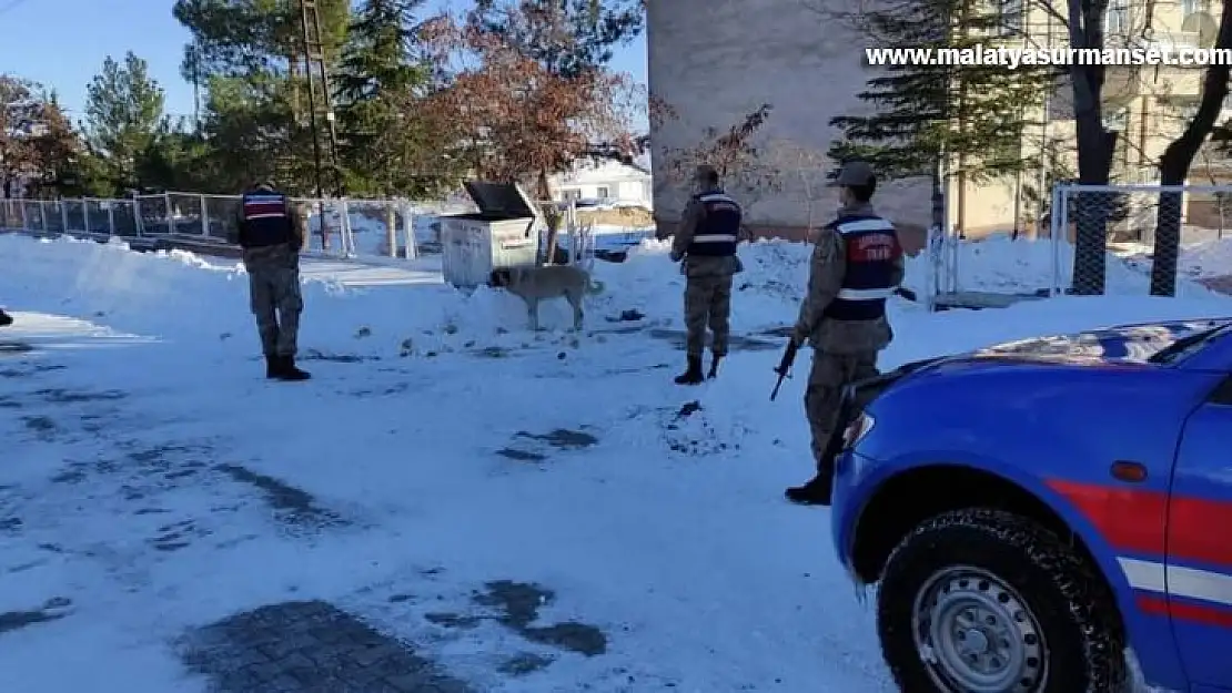 Arguvan'da jandarma sokak hayvanlarını unutmadı