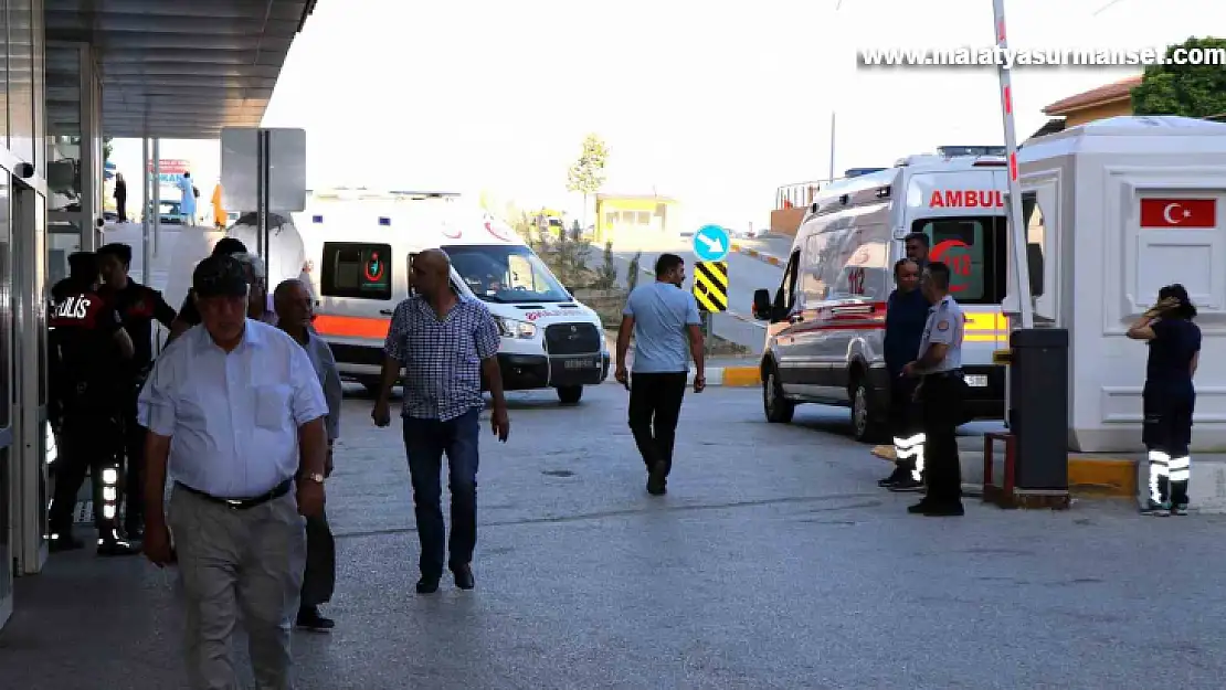 Arı sokmasına bağlı ciddi alerjik reaksiyonlar ölüme sebep olabilir