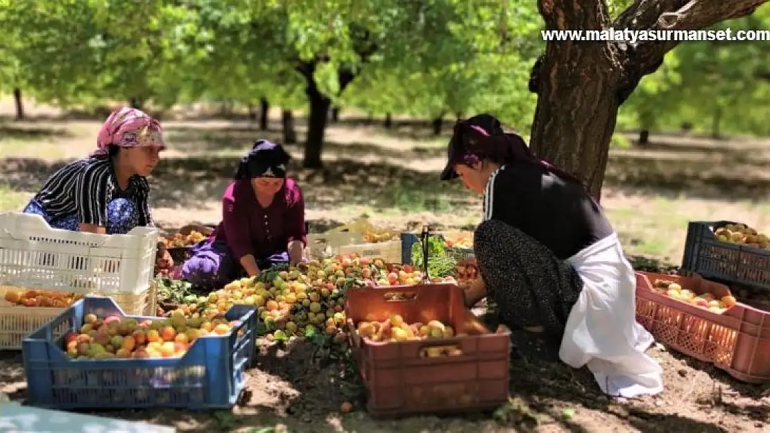 Asgari ücretin altında işçi çalıştıranlara yasal işlem