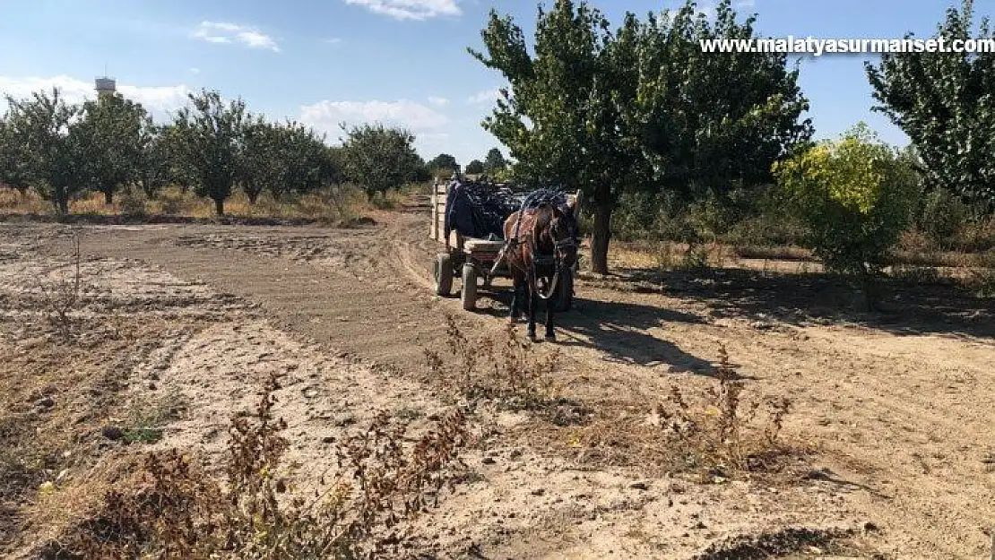 At arabası ile hırsızlığa suç üstü
