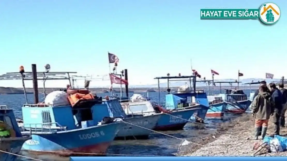 Avlak sahaları kiraya verilecek