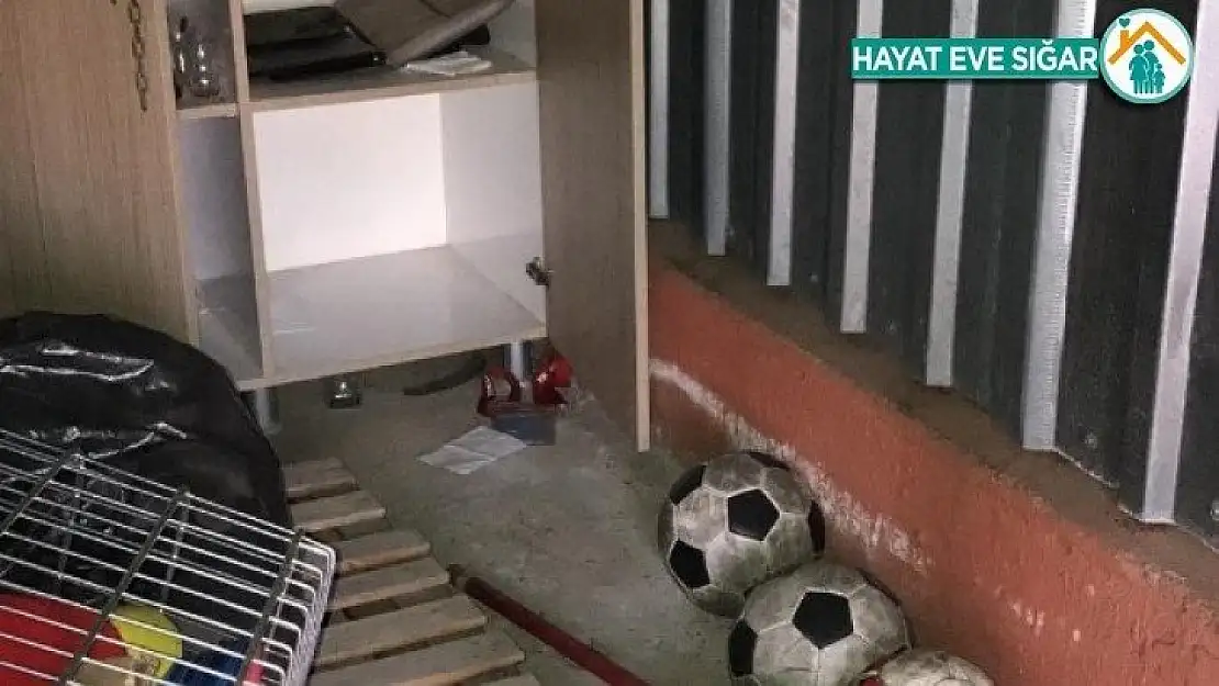 Aydınspor'a hırsız şoku