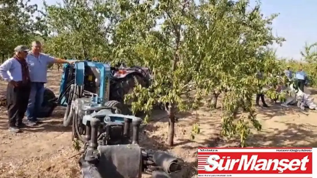 Badem hasat sezonu başladı