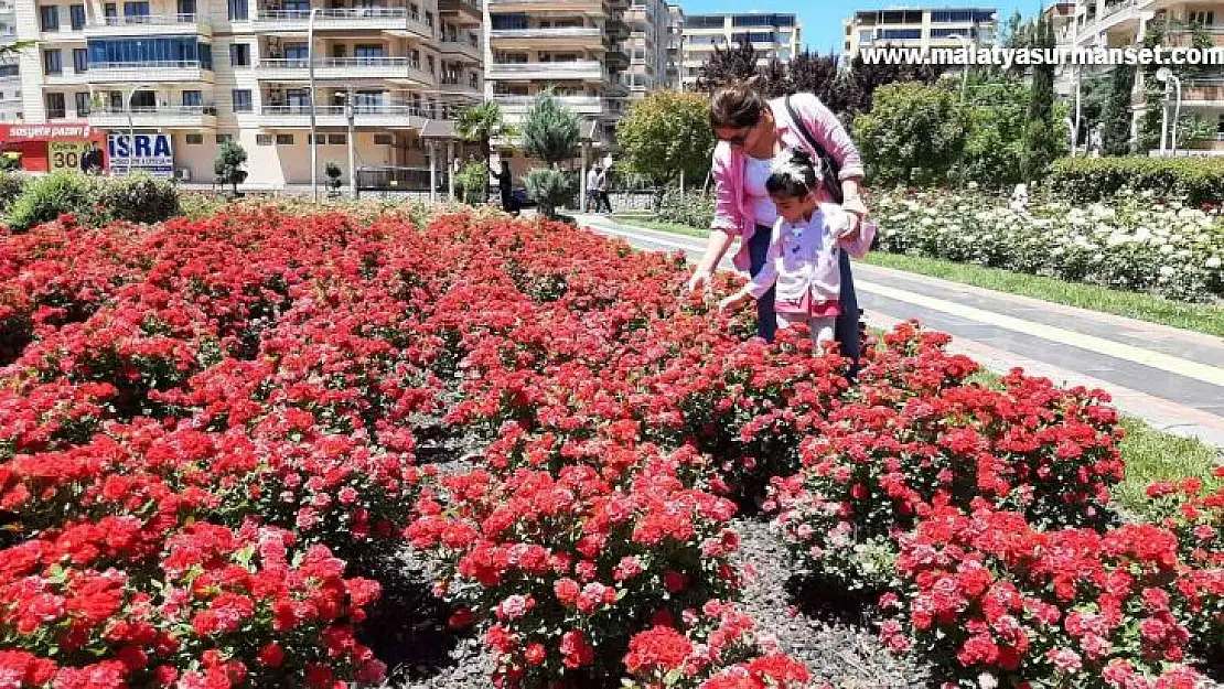 Bağlar Belediyesi Gül Parkı, değişik aktivite alanlarıyla huzurun adresi oldu