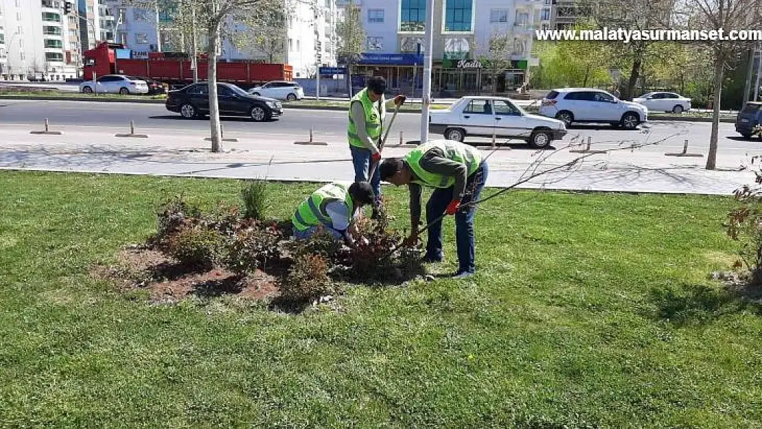 Bağlar Belediyesi'nin çevre düzenleme çalışmaları devam ediyor