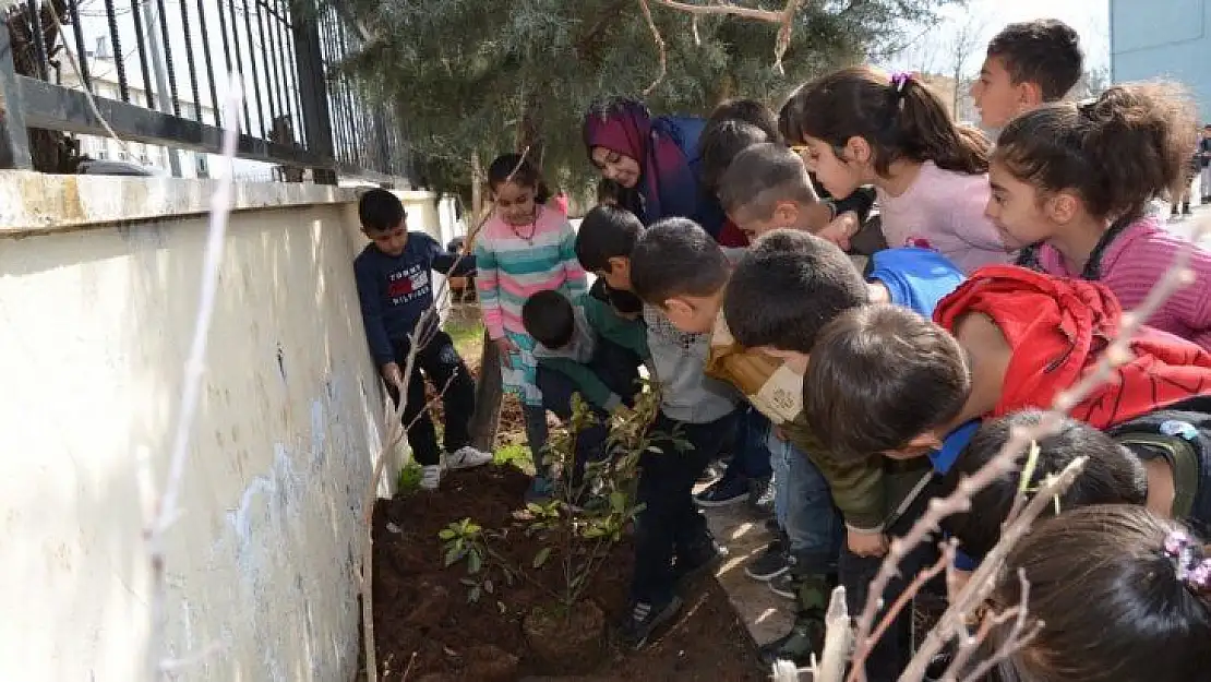 Bağlar Belediyesinden okullarda yeşil alan seferberliği