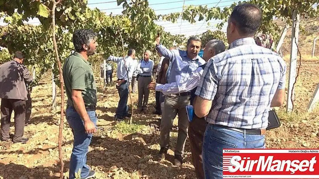 Bağlarda çardak sistemi anlatıldı