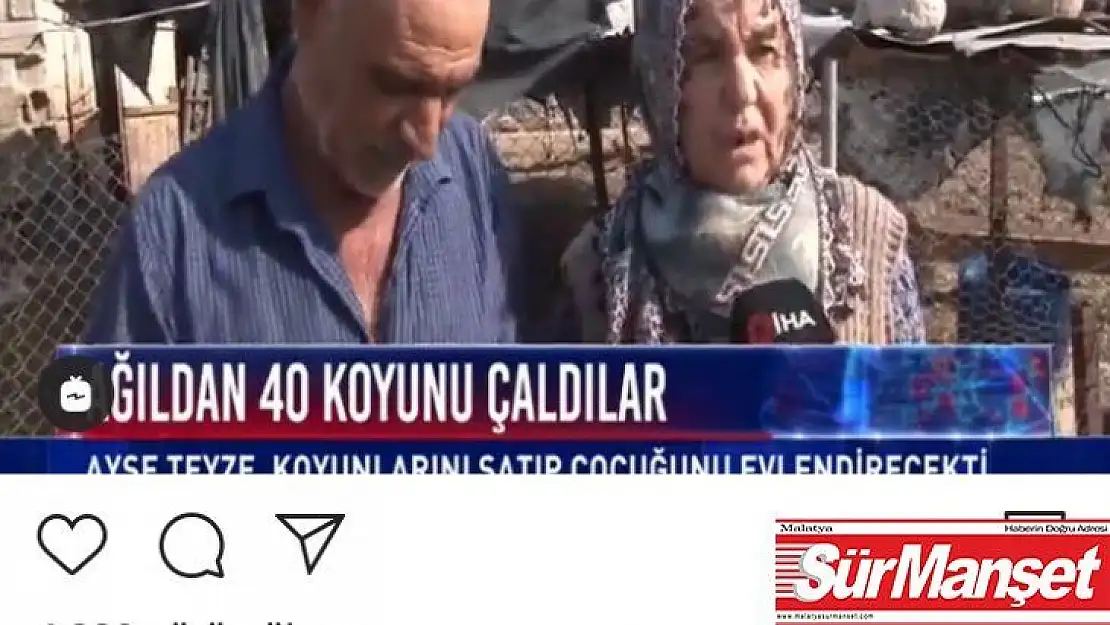Bakan Pakdemirli'den koyunları çalınan Ayşe teyzeye destek