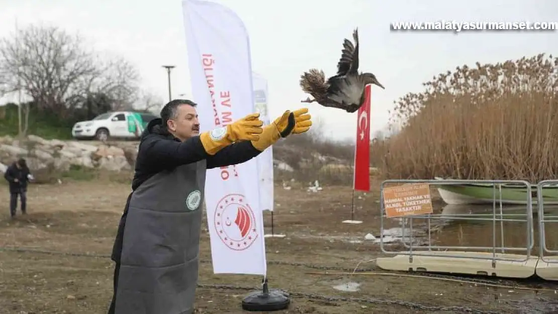 Bakan Pakdemirli göle ördek saldı