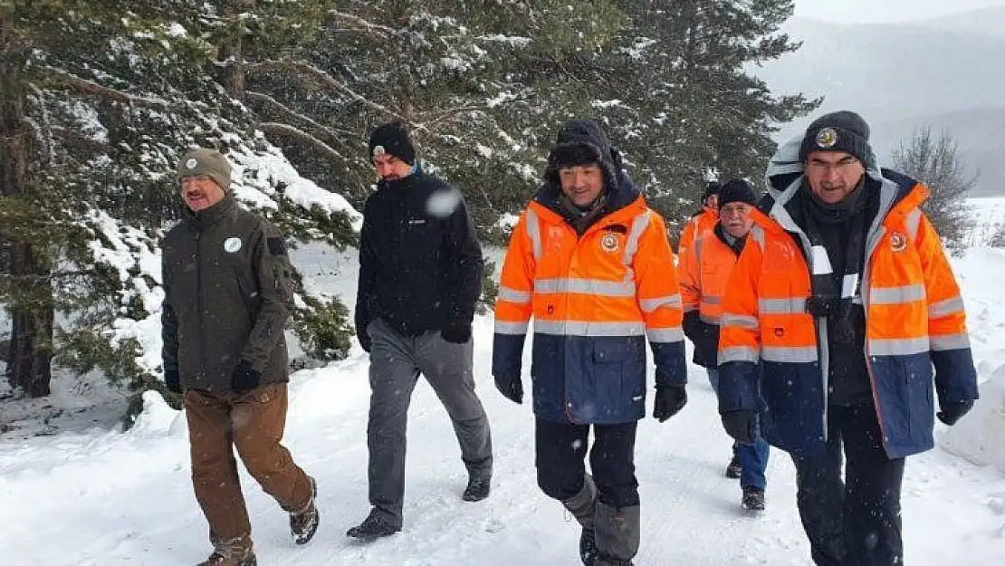 Bakan Pakdemirli, iyileşen gökdoğanı doğaya bıraktı