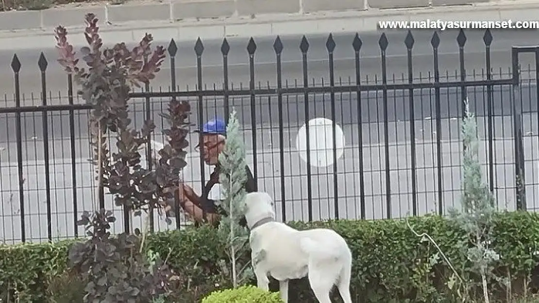 Bakan Selçuk sosyal medya hesabında köpeğe gazete okuyan vatandaşı paylaştı