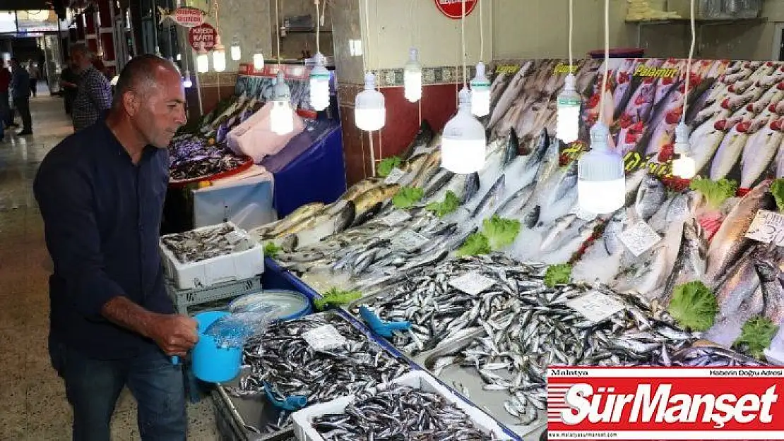 Balık fiyatları, beyaz eti solladı