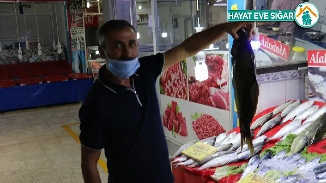 Balıkçılara sıcak hava darbesi