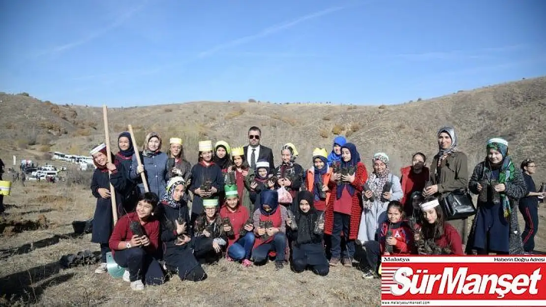 Başkan Çetin, Pursaklar'da ağaç dikti