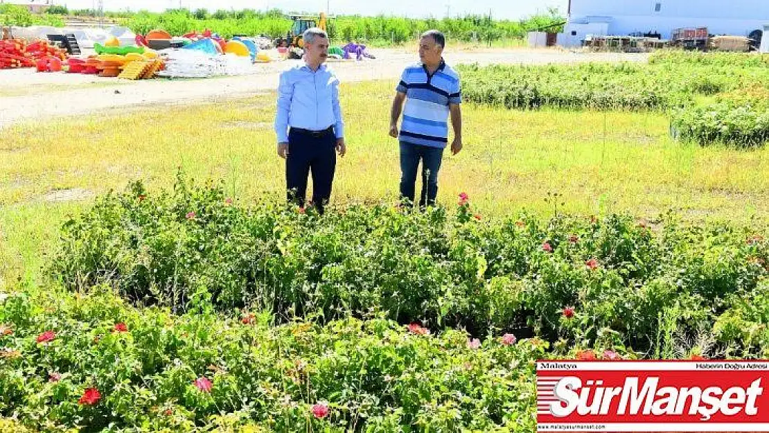 Başkan Çınar, fidanlık alanında incelemelerde bulundu