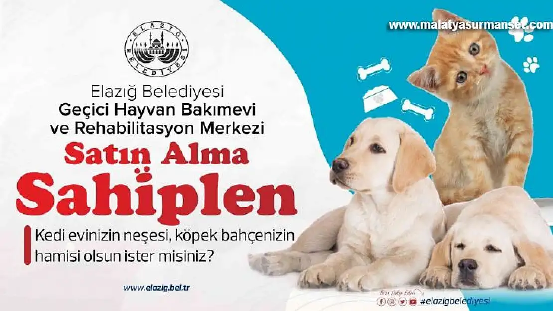 Başkan Şerifoğulları, 'Şehrimizde yaşayan her canlının huzurunu tesis etmek bizlerin en asli görevidir'