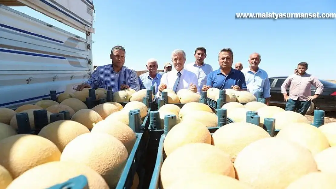 Başkan Tahmazoğlu, çiftçilerle ekti çiftçilerle topladı